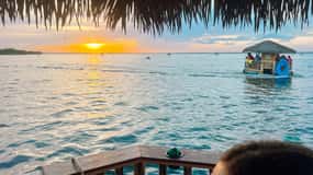 Destin: Sunset Crab Island & Dolphin Tour on Tiki Vessel