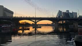 Austin: Excursión en kayak al atardecer en el Puente de los Murciélagos