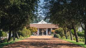 "Casas del Bosque Winery - Premium Tour."