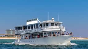 Orange Beach: Dolphin Cruise