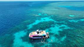 Cairns: All-Inclusive Great Barrier Reef Half-Day Snorkeling