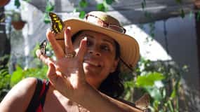 Butterflies, Tequila and Beach