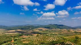 Civitavecchia: Escursione guidata di un'intera giornata in Toscana con degustazione di vini