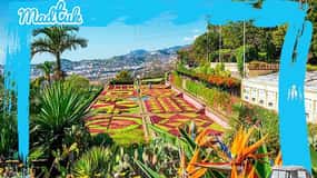 Madeira: Botanical Gardens Tuk-Tuk Tour