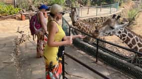 Mombasa Full Day City tour & Haller Park