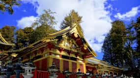 Tour privato di un giorno da Tokyo a Nikko con autista che parla inglese