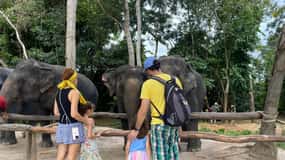 Tour particular da floresta de elefantes de Kulen e da aldeia flutuante