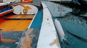 Aveiro: Private Walking Tour in the City and Moliceiro boat
