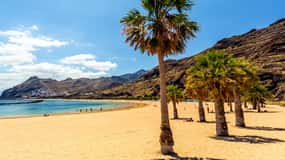 Puerto de la Cruz: VIP-utflykt Teneriffa Playa Teresitas, vetenskap och kultur