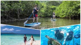 Iriomote Mangrove SUP et plongée en apnée à Coral Island