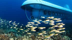 Da Kona: avventura sottomarina di Big Island