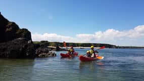 Wexford: Family-Friendly Sea Kayaking Adventure