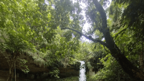Puerto Rico Vandring i Gozalandia-floden och vattenfall