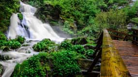 Tour privado de día completo por la Selva Negra de Baden