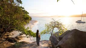 Fitzroy Island: Full-Day Ferry & Snorkel Safari Guided Tour