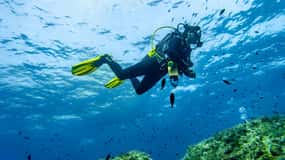Mallorca: Scuba Dive-äventyr Cap de Formentor – 1 dykplats