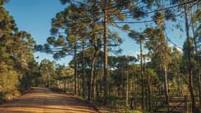 Itaimbezinho and Fortaleza Canyons 2 Days tour in English