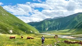 Tbilisi: Kazbegi Gudauri Ananuri and Truso Adventure by 4x4