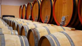 Från Siena: Brunello di Montalcino guidad vintur med lunch