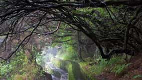 PASSEGGIATA SULL'ISOLA DI MADEIRA - 25 FONTANE LEVADA