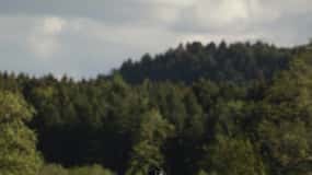 Acadia Full-Day Private Bike & Hike Tour