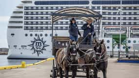 Prince Edward Island: Horse-Drawn Carriage Tour