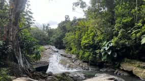 El Yunque Rainforest Water Slide & Luquillo Beach Tour