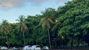 Puerto Plata: E-Bike Rental electric bike