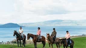 Rotorua: Guided Horseback Riding Day Trip on Mt. Ngongotaha