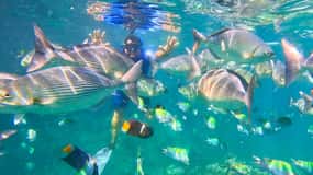Mismaloya : Plongée en apnée, saut de falaise et visite de la plage