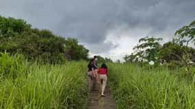Ubud: Campuhan Ridge Walk, Tegallalang Rice Terrace i więcej