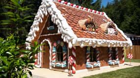 Bucharest: Magic Park & Bear Sanctuary Day Trip