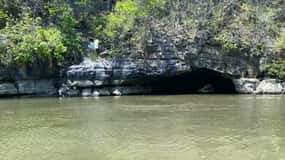 Forfait singe de la mangrove de Langkawi