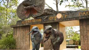 Sydney: Reptile Park och Avoca Beach Dagsutflykt med inträde