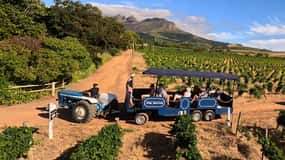 Cidade do Cabo: Stellenbosch Hop-On Hop-Off Trator Wine Tour