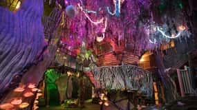 Santa Fe: Meow Wolf The House of Eternal Return Ticket