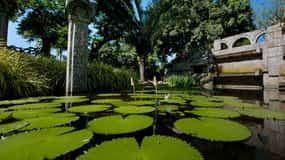 Rio de Janeiro: Burle Marx vezetett túra