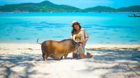 Koh Samui: Privat longtailbåd til Pig Island med snorkling