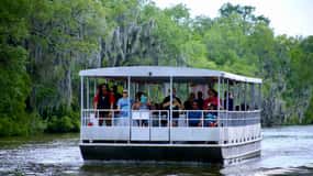 New Orleans: Sumpf-Tour auf einem überdachten Ponton-Boot