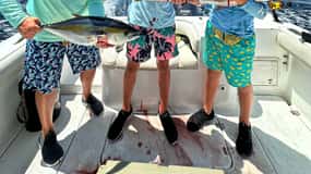 Costa Rica: Sport Fishing Off Shore Private Guided Charter