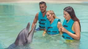 CANCUN: Experiência Dolphin Diamond com almoço e bebidas