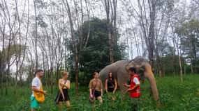 Phuket : Visite du sanctuaire des éléphants, cours de cuisine et déjeuner