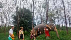 Guidet naturvandring og elefantopplevelse i Khao Lak
