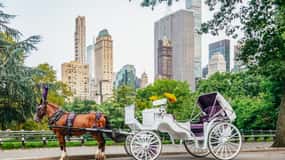 NYC: Guided Central Park Horse Carriage Ride