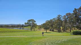 Ruta del Vino por McLaren Vale y el Histórico Hahndorf