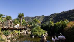 Visita all'Isola degli Uccelli di Madeira