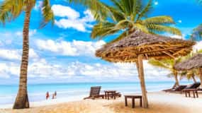 Playa de Diani: Excursión de un día a la isla de Funzi con almuerzo