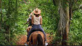 Punta Cana: Samaná Day Trip with El Limón Waterfall