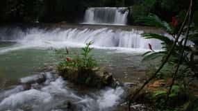 Montego Bay/Negril: Experiência Appleton Rum e Subida às Cataratas YS