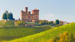 From Milan: Langhe Wine Region Day Trip with Barolo Tasting